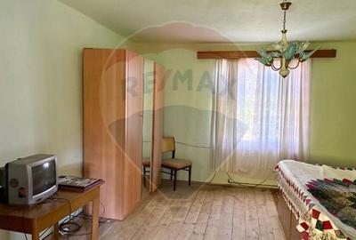 Casă individuală cu 2 camere cu Teren 1449 Mp în Ocna Șugatag - 11