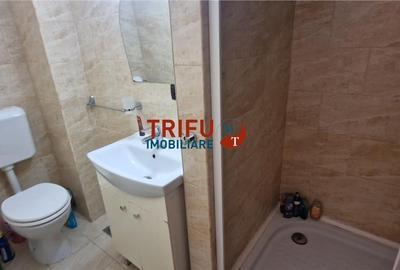 Apartament în Dealul Furcilor de închiriatriat - 8