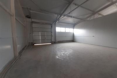 Spațiu industrial, de 200 mp, în Theodor Pallady - 1