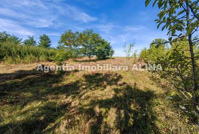 Casă cu 2 camere în Criș - 17