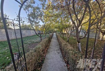 Casa 5 camere | Hala 125 mp | Teren 1500 mp | Magurele Padure - 10