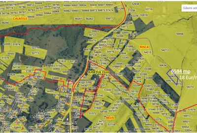 Teren agricol extravilan de 3000 mp, în Beliș - 3
