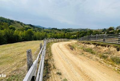 Spațiu comercial, în Central - 12