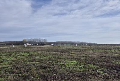 Loturi de teren 638 mp - curent tras la teren - Crevedia - 6