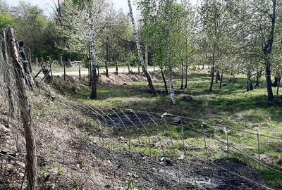 TEREN INTRAVILAN BAIA DE FIER - 7