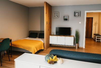 Apartament Central - Premium - Calea Aradului, Linistei, Iulius Mall - 9