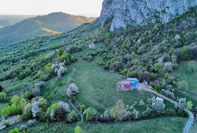 Teren de 25000 mp, în Vulcan - 7
