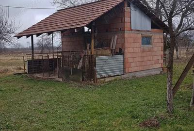 Casă cu 2 camere cu Teren 1950 Mp în Gothatea - 2