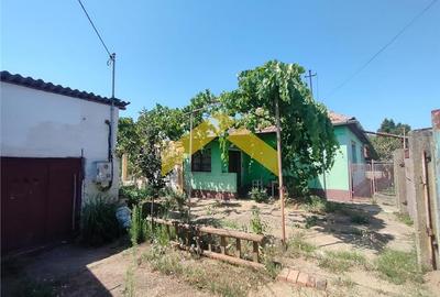 Casa la sol de vanzare Zimandu Nou - 5