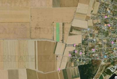 Teren de 5000 mp, în Vadu - 3