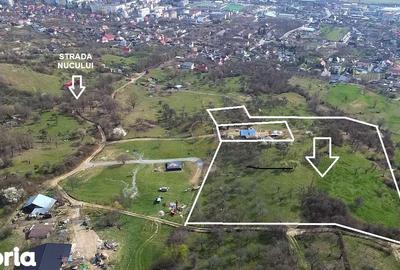 Teren de 10000 mp, în Central - 1