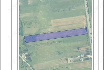 Teren de 9570 mp, în Ionești - 3