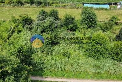 Teren de 750 mp, în Alexandru cel Bun