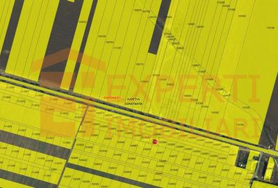 Teren intravilan situat in zona COSTINESTI langa soseaua DC.6 - 3