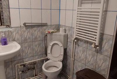 Garsoniera doamna ghica-pod-stradal - 5