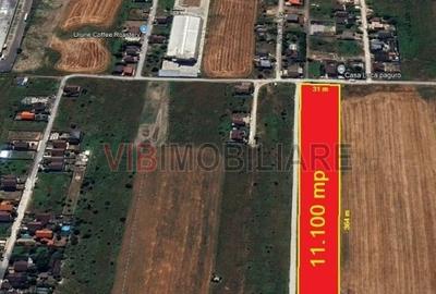 Teren 11.100 mp Clinceni - d=30 ml - parcelabil - 3