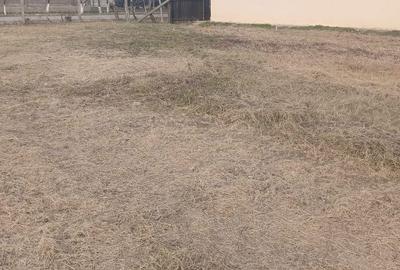 Teren de 1500 mp, în Exterior Vest - 2