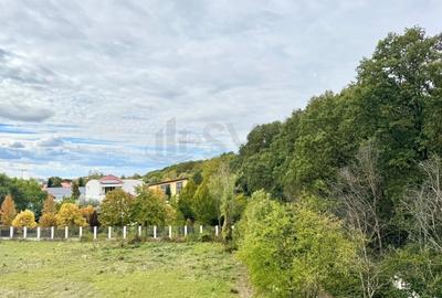 REA1026053 Apartament 2 camere Pipera Diamond Residence Piscina - 2