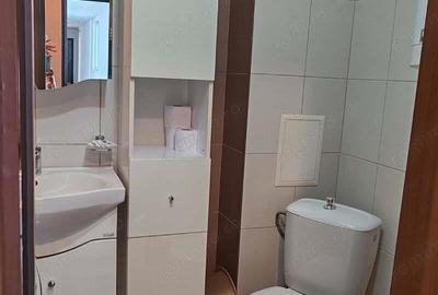 Inchiriere apartament cu 2 camere in zona Baicului - 2