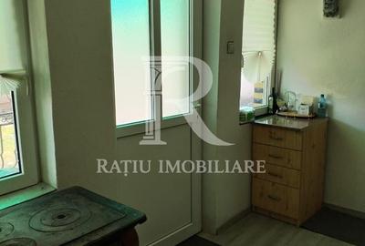 Casă cu 3 camere cu Teren 3000 Mp în Tămășeu - 12