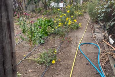 Casa 4 camere, 790 mp teren, zona Bariera Vilcii - 9