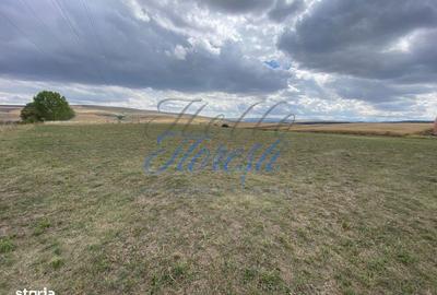 Spațiu comercial, în Rediu - 1