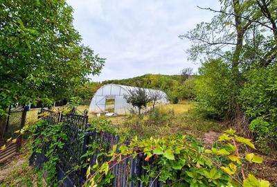 Casă cu 2 camere cu Teren 2647 Mp în Valea Mare - 1