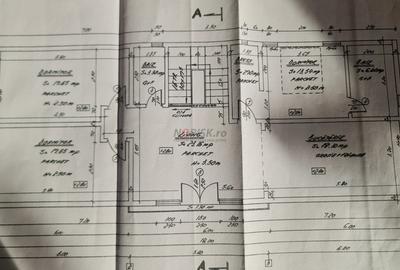 Vila + Afacere 15.000mp Clinceni - 31