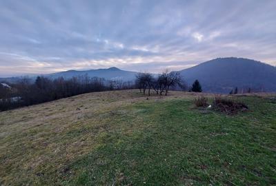 Teren agricol extravilan de 53360 mp, în Vama - 5