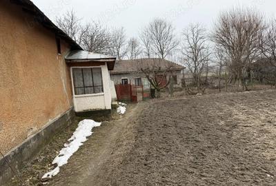 Casă cu 4 camere cu Teren 1450 Mp în Ștorobăneasa