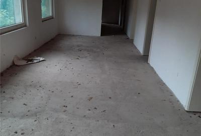 Casă cu Teren 552 Mp în Băiuț - 1