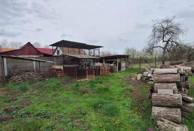 Casă cu Teren 4636 Mp în Central - 8