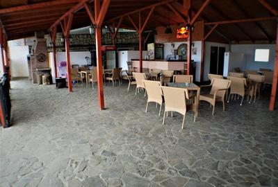 Hotel/Pensiune, de 10 mp, în Nicolae Bălcescu - 6