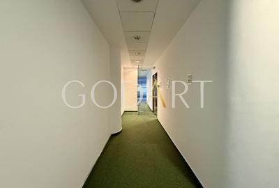 Birou, de 416.89999389648 mp, în Băneasa - 7