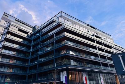 Victoriei / Petru Rareș Loft / Parcare Inclusa - 2
