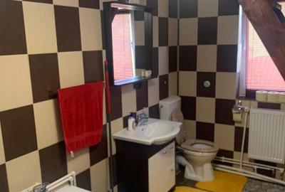 Vand doua case in aceeasi curte, in sat Dudesti, com. Luncoiu de Jos, - 8