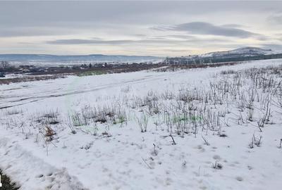 Teren de 1800 mp, în Sărata - 2