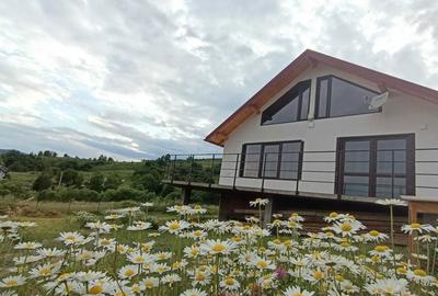 Casă cu 2 camere cu Teren 3100 Mp în Gura Humorului - 7