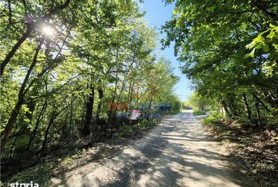 Teren de 708 mp, în Bârnova - 3