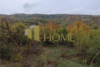 Sau Schimb teren central Drajna 5000 mp - 5