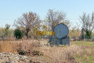 De vanzare ferma Calarasi in stare de conservare - sere - livada - 11