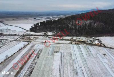 Teren de 15800 mp, în Zagon - 1