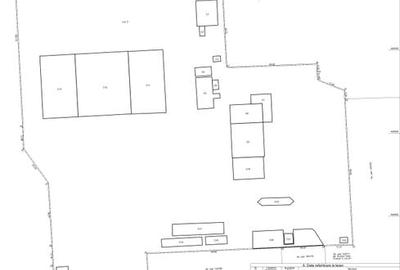Hale de inchiriat Intertrans - 2