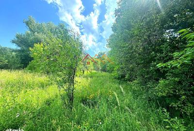 Spațiu comercial, în Răgman - 1