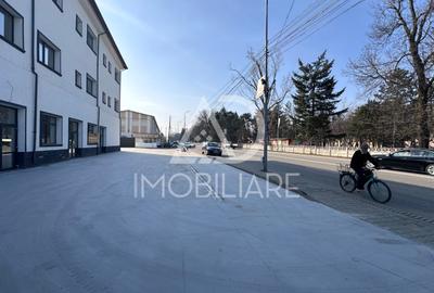 Proprietate specială, de 1,000 mp, în Primăverii - 3