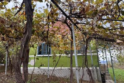 Teren de 9341 mp, în Bălnaca - 9