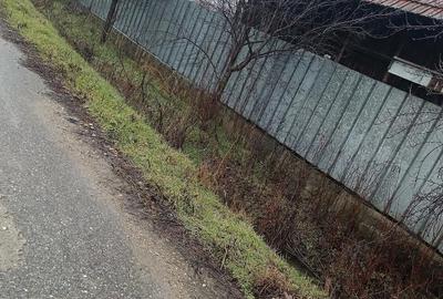 Casă cu 4 camere cu Teren 1450 Mp în Doba - 5