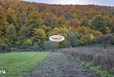 Teren de 310 mp, în Central - 4