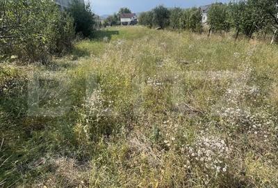 Teren de 1000 mp, în Central