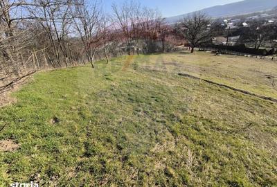 Teren de 2853 mp, în Urechești - 9